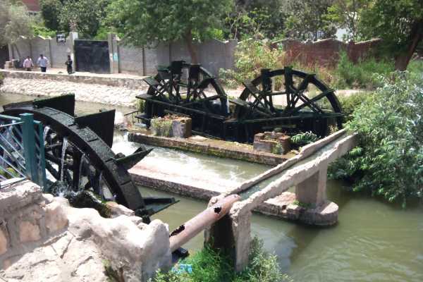 Day Tour to El Fayoum from Cairo