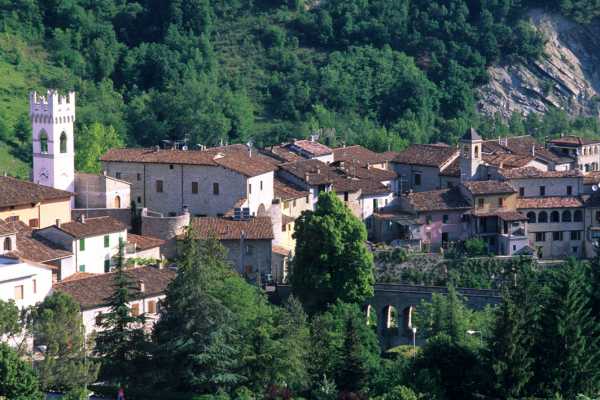 Fonte Castello di Cusercoli
Fonte Castello di Cusercoli