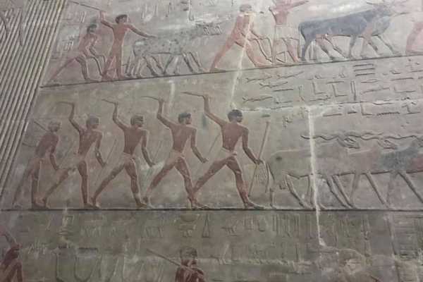 Day Tour to Giza Pyramids and Saqqara from Cairo