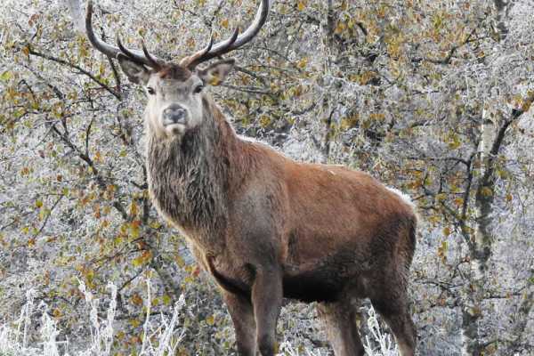 Fjordens godbiter p&aring; Hitra