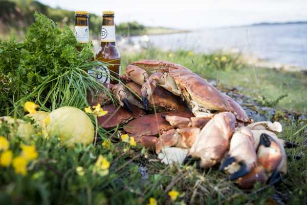 Fjordens godbiter p&aring; Hitra