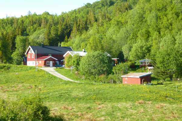Urtevandring hos Heggli Urtehage