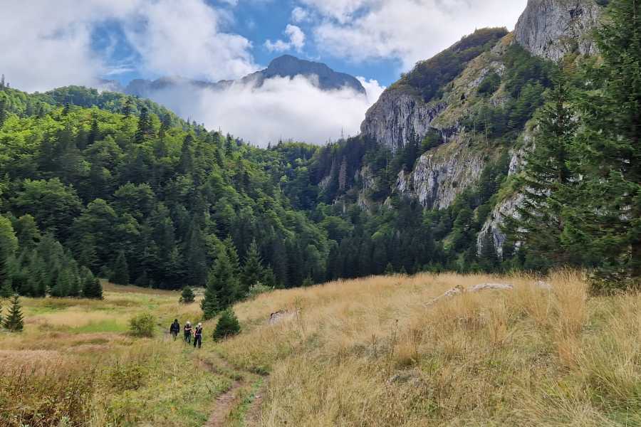 Green Visions Via Dinarica: a Hiking Adventure through Bosnia & Montenegro
