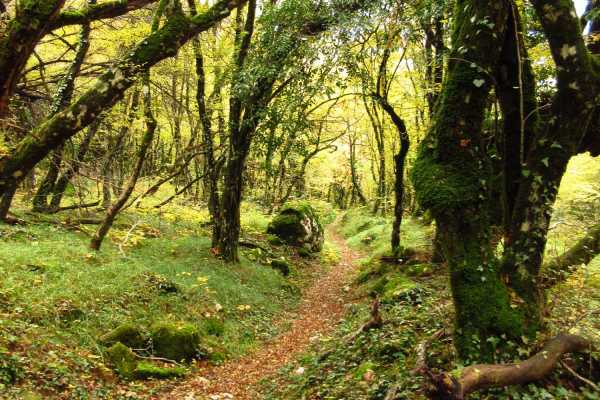 Diva Grabovica & King's Old Hunting Trail