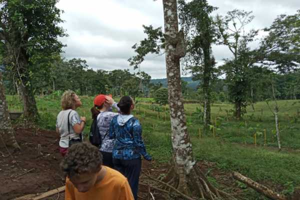 Bijagua Sloth Search and Discovery