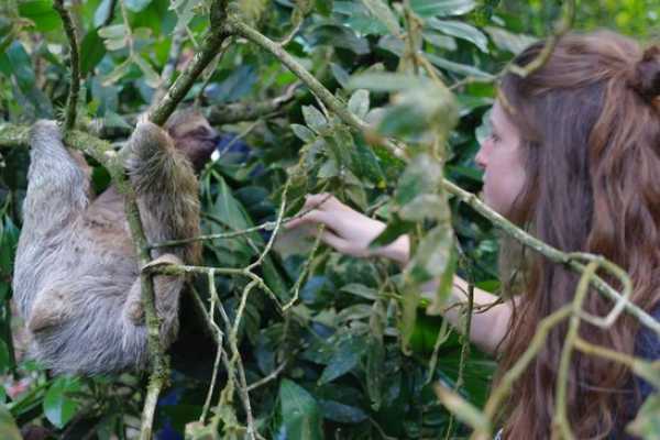 Bijagua Sloth Search and Discovery