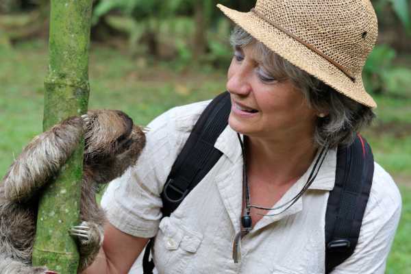 Bijagua Sloth Search and Discovery