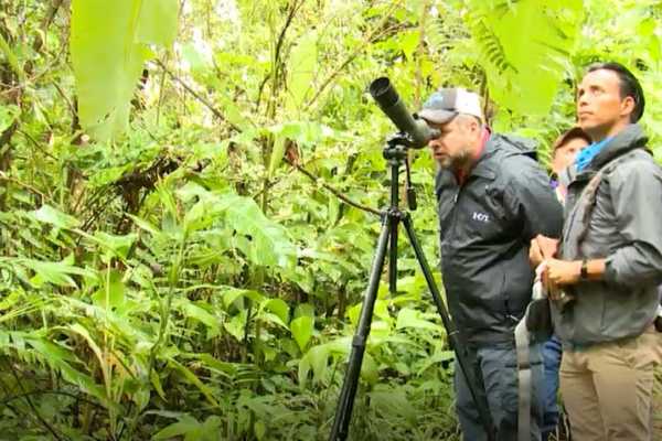 Bijagua Sloth Search and Discovery