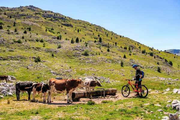 Biking the Olympic Mountains (2Days)