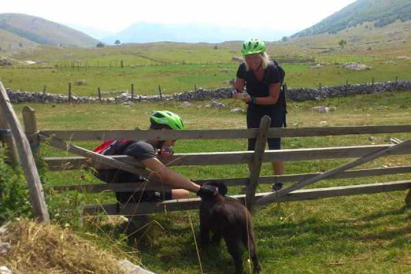 Biking the Olympic Mountains (2Days)