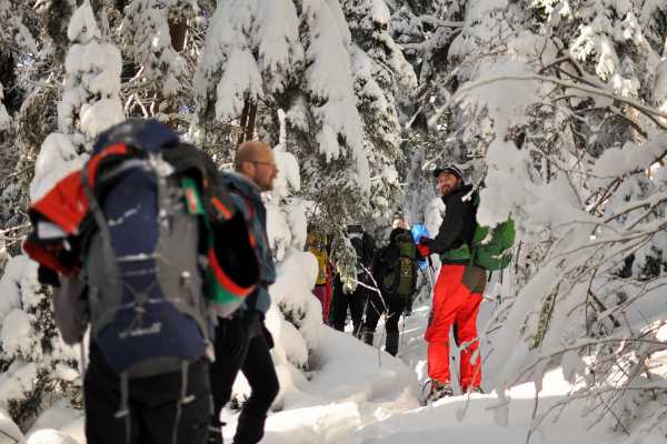 Winter Waterfall Hike