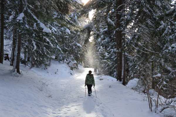 Winter Waterfall Hike