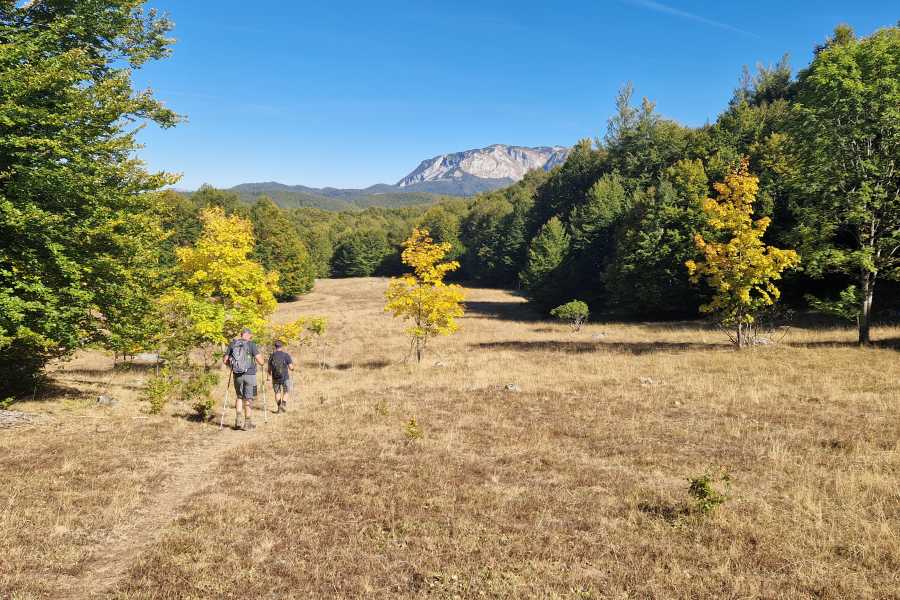 Green Visions Via Dinarica Bosnia - Bjelasnica mountain (4days)