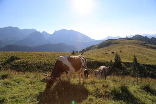 Sutjeska National Park (5days)