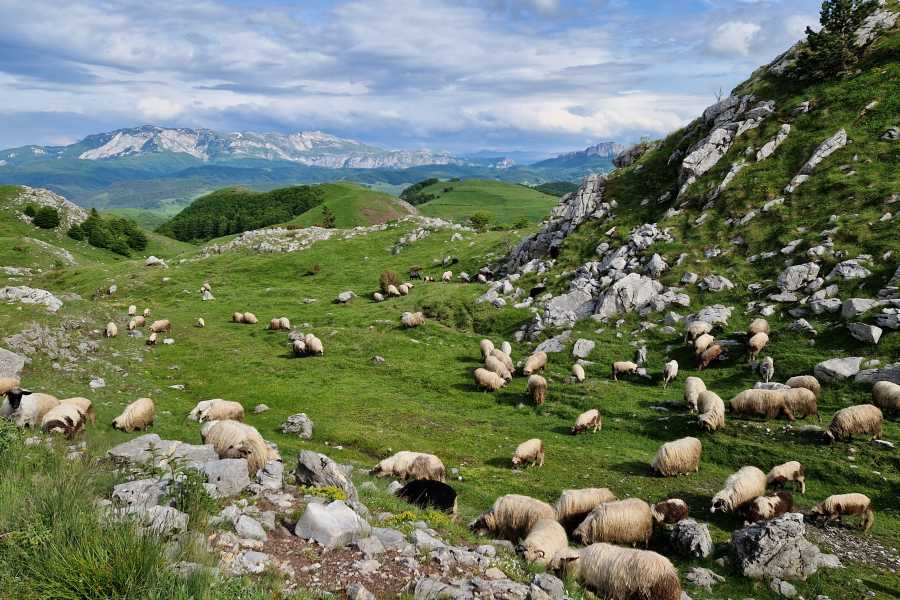 Green Visions Via Dinarica's Mediterranean and inland route from Croatia to Bosnia