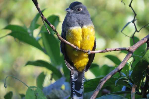 Bird-Watching and Cultural Tour