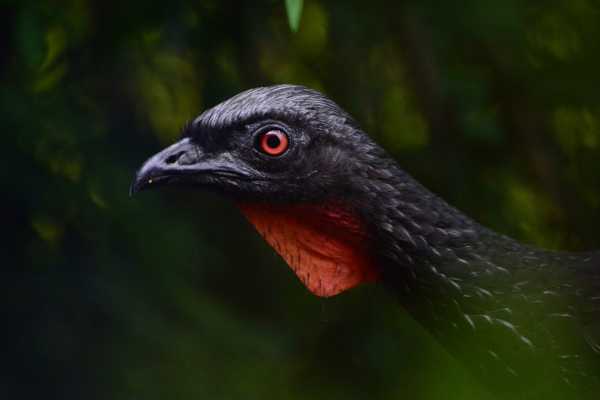 Bird-Watching and Cultural Tour
