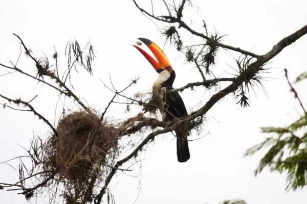 Bird-Watching and Cultural Tour
