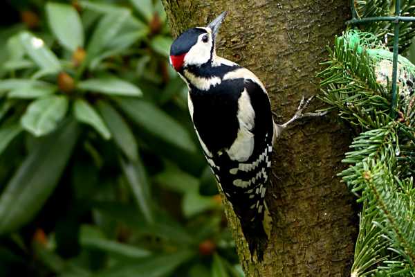 Bird-Watching and Cultural Tour