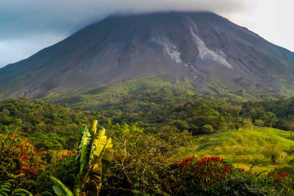 Bird-Watching and Cultural Tour