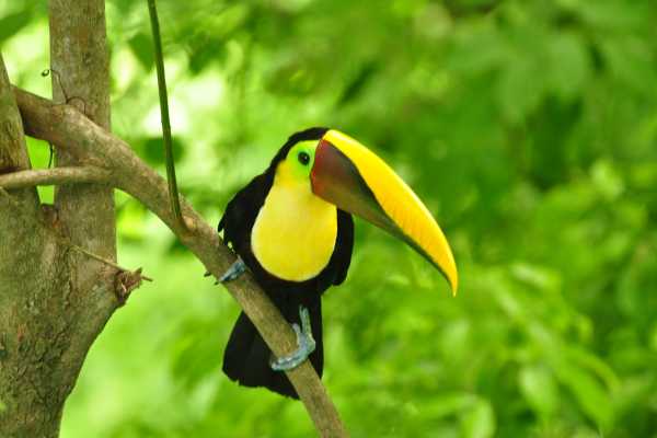 Bird-Watching and Cultural Tour