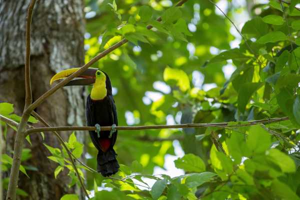 Bird-Watching and Cultural Tour
