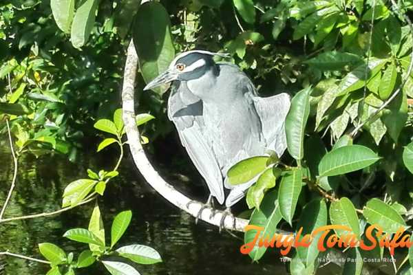 Bird-Watching and Cultural Tour