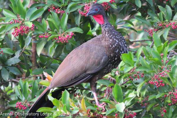 Bird-Watching and Cultural Tour