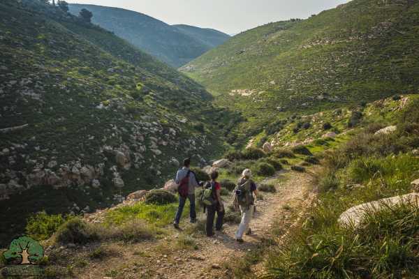19 - 25 November 2020, Tuqua to Beit Mirsim, Autumn Thru-Hike 2020