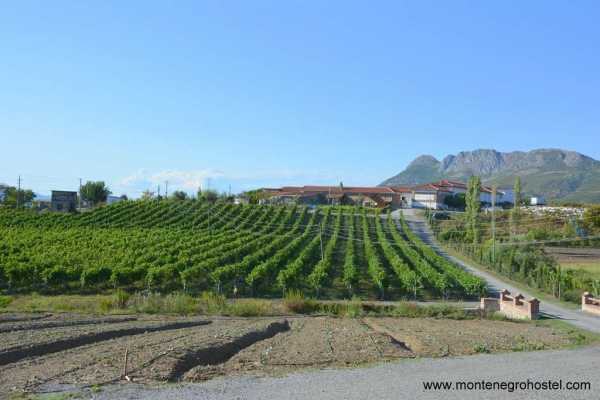 FOOD EXPERIENCE TOUR (ALBANIA) WITH MH TRAVEL