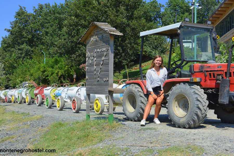 MH Travel Agency FOOD EXPERIENCE TOUR (ALBANIA) WITH MH TRAVEL