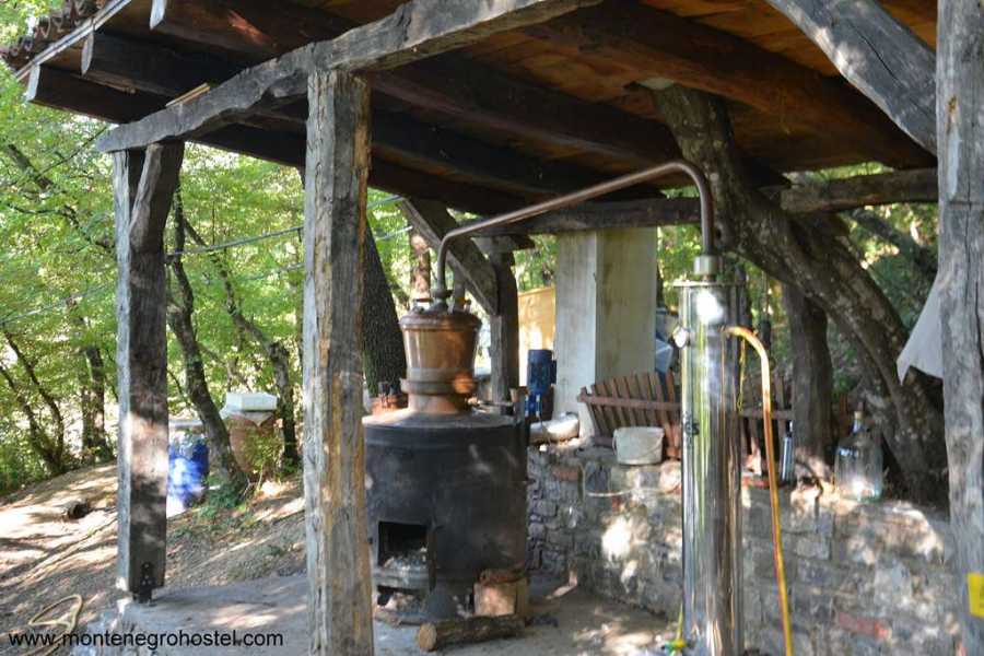 MH Travel Agency FOOD EXPERIENCE TOUR (ALBANIA) WITH MH TRAVEL