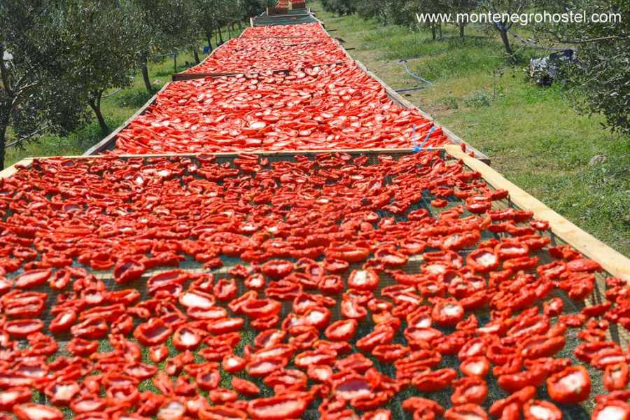 MH Travel Agency FOOD EXPERIENCE TOUR (ALBANIA) WITH MH TRAVEL