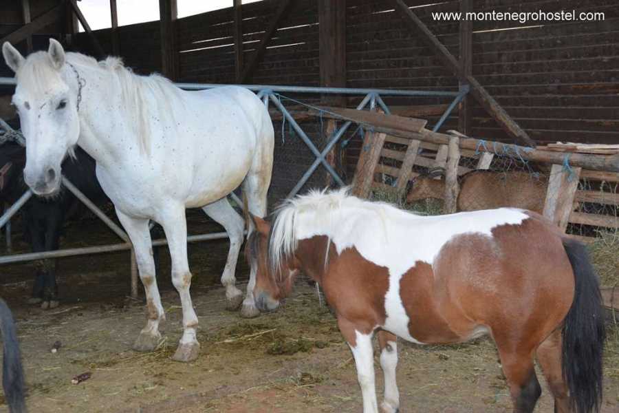 MH Travel Agency FOOD EXPERIENCE TOUR (ALBANIA) WITH MH TRAVEL