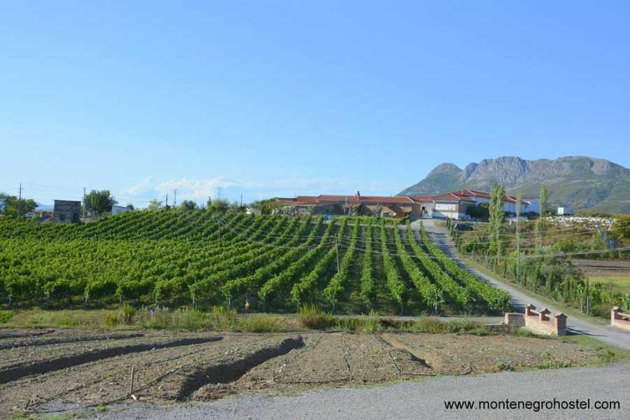 MH Travel Agency FOOD EXPERIENCE TOUR (ALBANIA) WITH MH TRAVEL