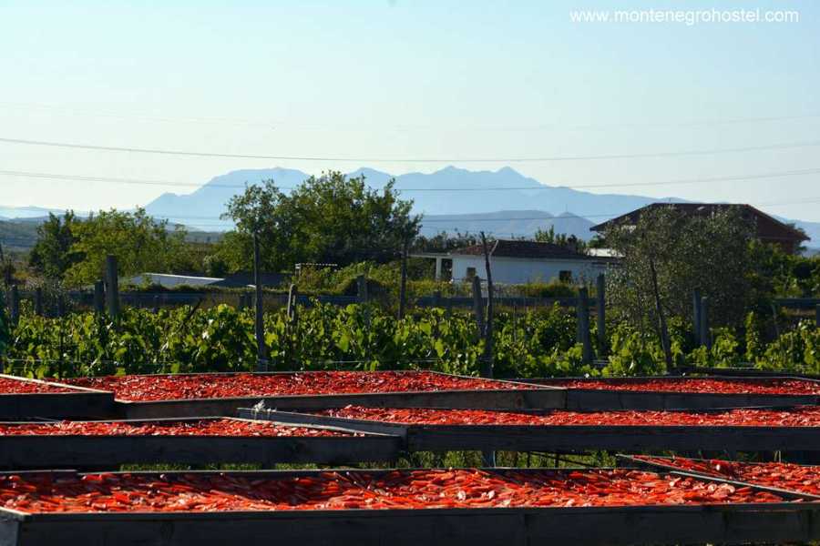 MH Travel Agency FOOD EXPERIENCE TOUR (ALBANIA) WITH MH TRAVEL