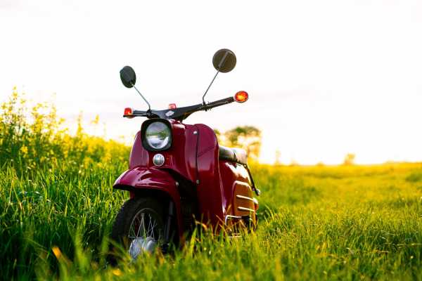 Scooter Rental