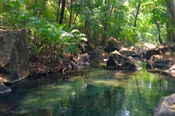 Rio Perdido Exploration Day Pass