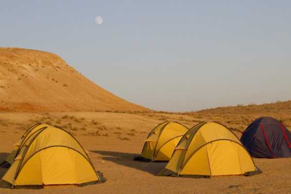 Desert Survival Workshop