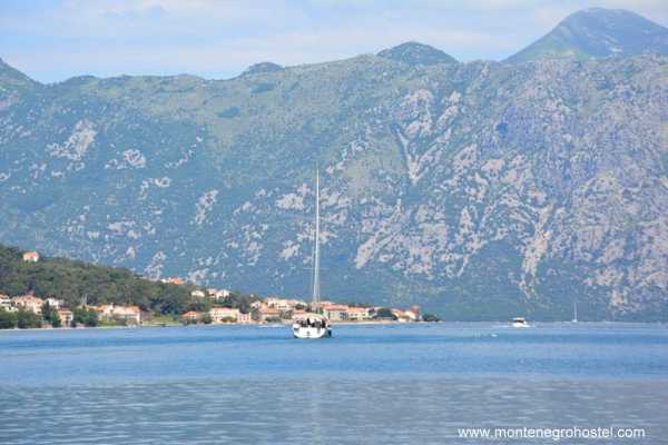 ONE DAY SAILING TOUR (Kotor Bay & Tivat Bay) WITH MH TRAVEL