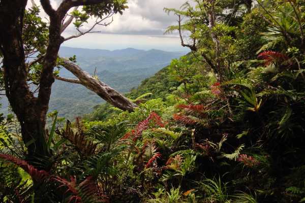 Two Peak Challenge (2 nights)