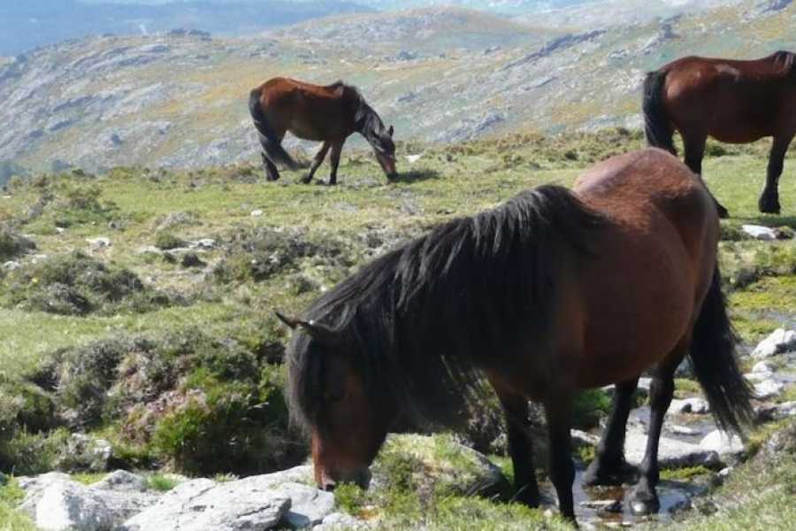 Ger&ecirc;s Holidays Sistelo & Semana Santa