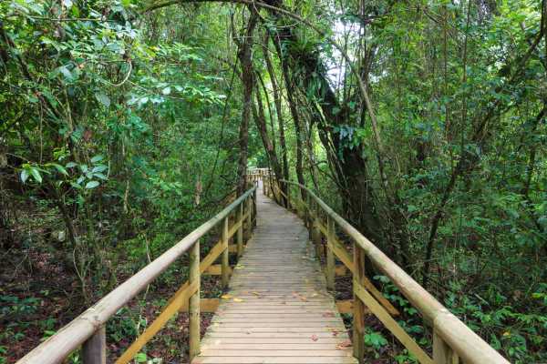Manuel Antonio National Park