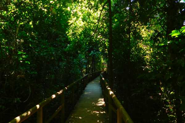 Manuel Antonio National Park