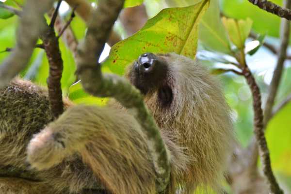 Manuel Antonio National Park