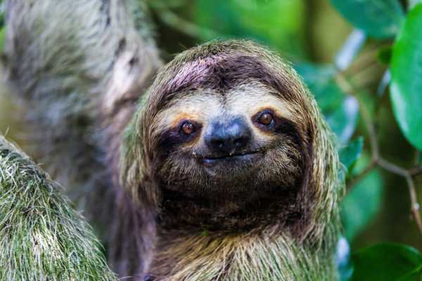Manuel Antonio National Park