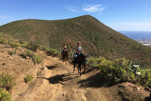 2 HOURS MOUNTAIN TOUR