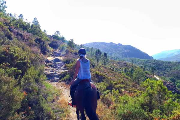 Passeio a Cavalo de 1H