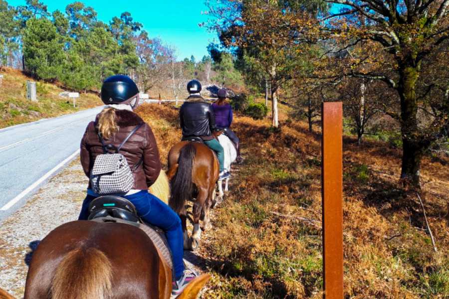 Ger&ecirc;s Equidesafios Passeio a Cavalo de 1H