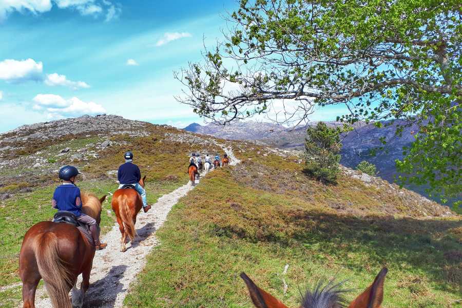 Ger&ecirc;s Equidesafios Passeio a Cavalo de 1H